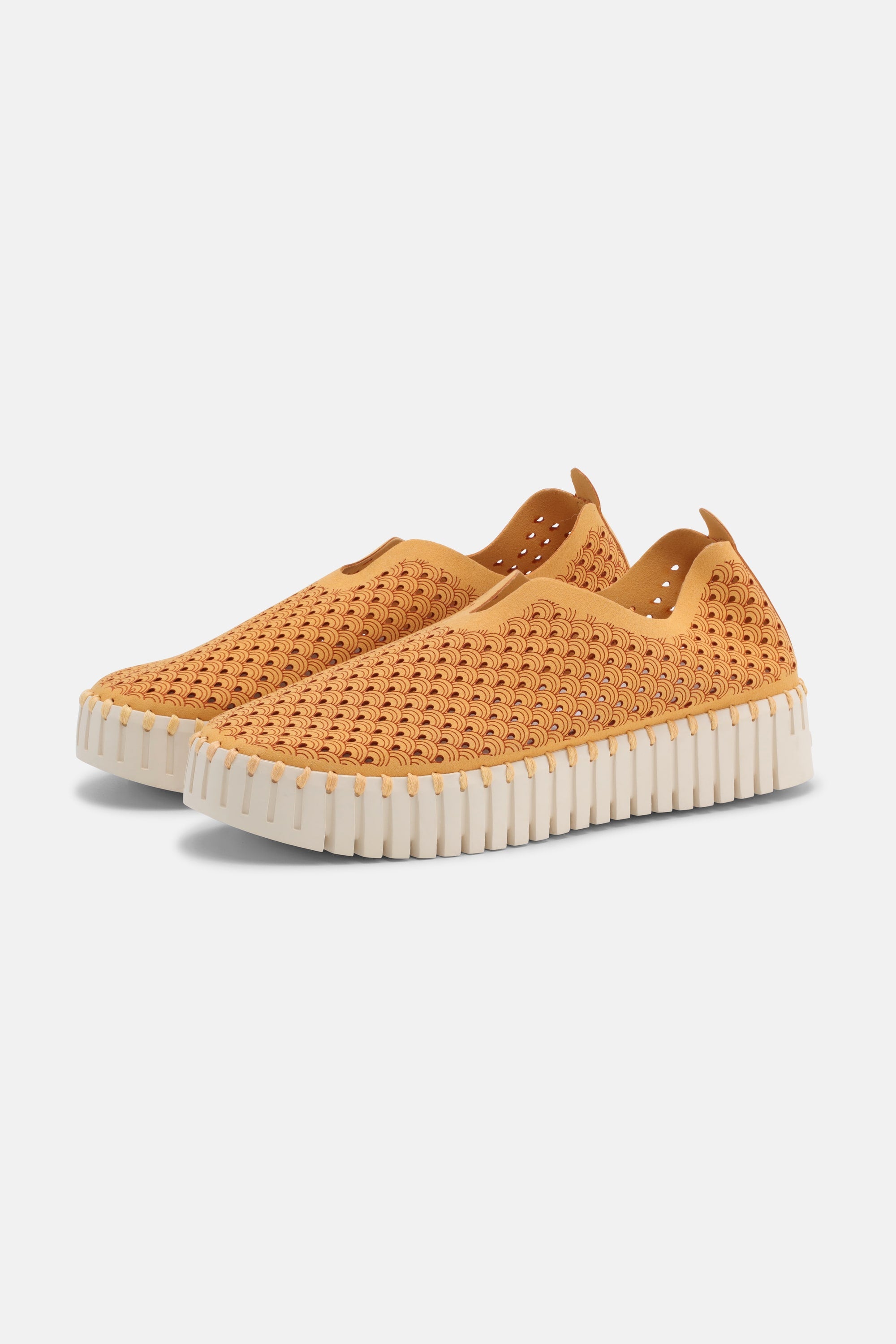 Tulip Chaussures Plateforme - Golden Nugget